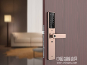 智能防盜鎖在國內擁有巨大的發展潛力
