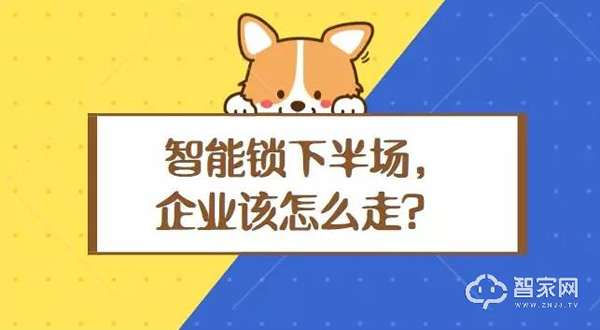 智能門鎖大熱的冷思考：智能鎖行業2019年該怎么走？