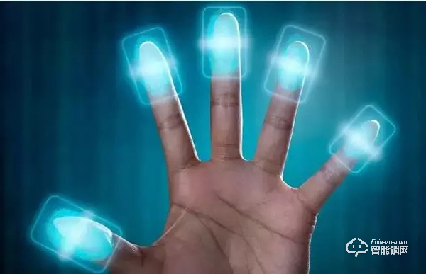 指紋識(shí)別技術(shù)的主要種類有哪些？