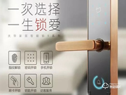 大華樂橙智能鎖代理