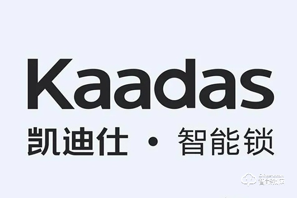 凱迪仕哪個型號好