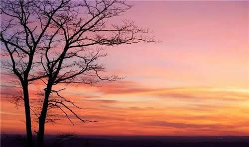 去小米化的云米 能否扛起5GIoT大旗？