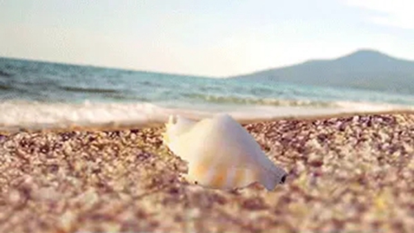 諾托新品SEA系列執(zhí)手重磅上市！