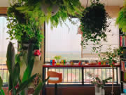 好太太智能家居:不該錯過屬于自己的每一抹風景