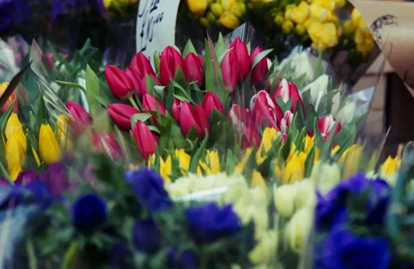 飛利浦智能鎖：南北習俗大賞讓你過出年味