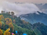 河?xùn)|智能家居:享受難得的舒適與愜意