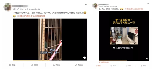 飛利浦智能鎖：寵物獨(dú)自開(kāi)門存在的安全隱患 你注意到了嗎？