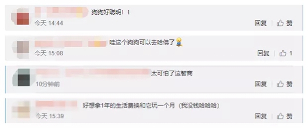 飛利浦智能鎖：寵物獨(dú)自開(kāi)門存在的安全隱患 你注意到了嗎？