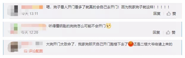 飛利浦智能鎖：寵物獨(dú)自開(kāi)門存在的安全隱患 你注意到了嗎？