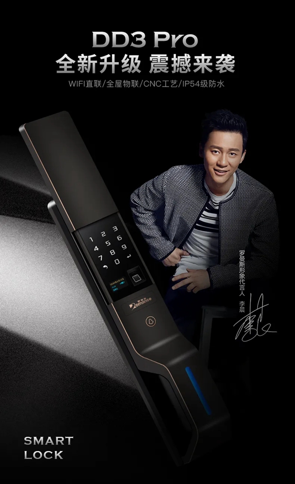 經(jīng)典再現(xiàn) | 一圖了解羅曼斯DD3 Pro