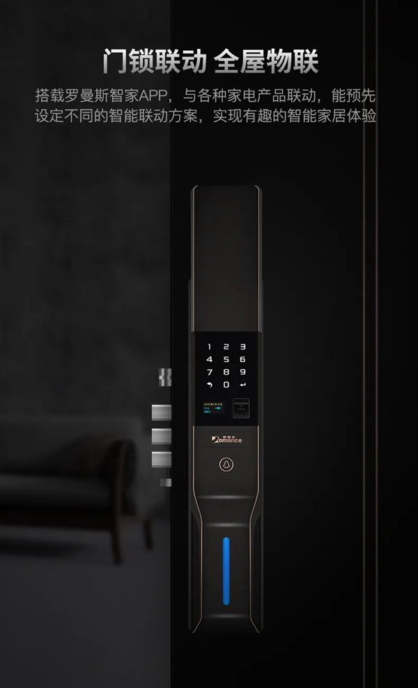 經(jīng)典再現(xiàn) | 一圖了解羅曼斯DD3 Pro