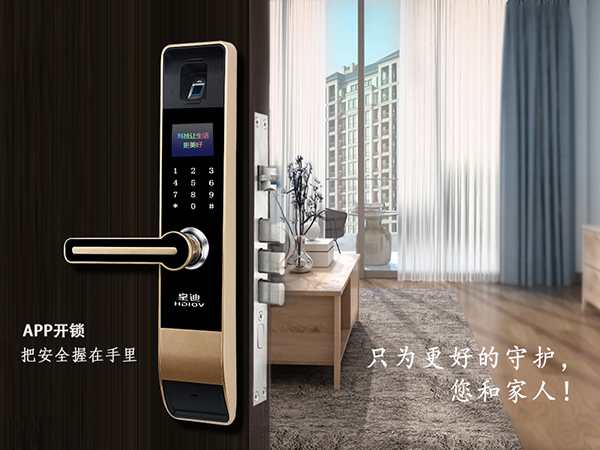 智能鎖廠家在國內普遍嗎？