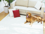 海爾智能家居：滿足更多人對房子細節關注的需求