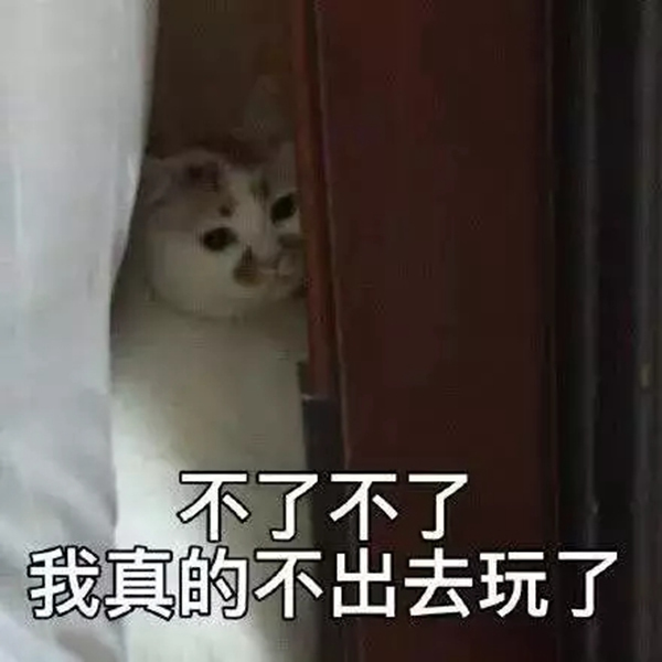 靈靈狗智能鎖：門把手發現病毒核酸 速看門鎖使用防護指南