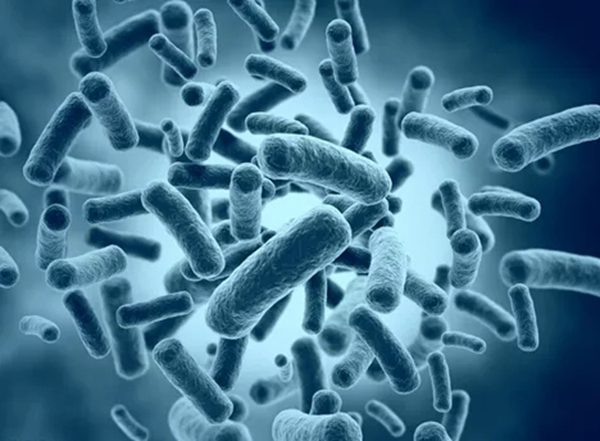 云米全屋互聯網家電：換一把抗菌門鎖 高效預防交叉感染