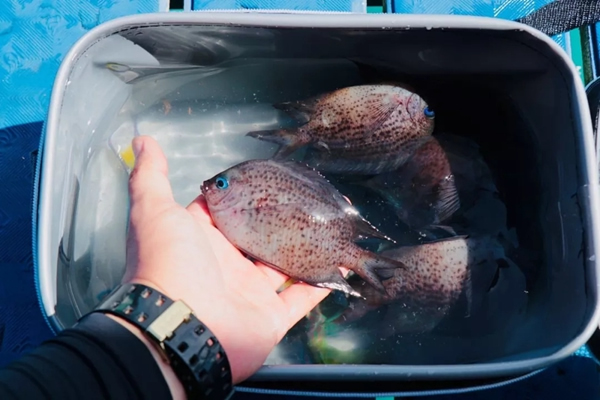 ThinkHome菲律賓長灘島特訓營活動圓滿結束