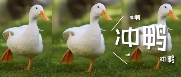 青松沃德：我們的2019年末崩潰情況報告