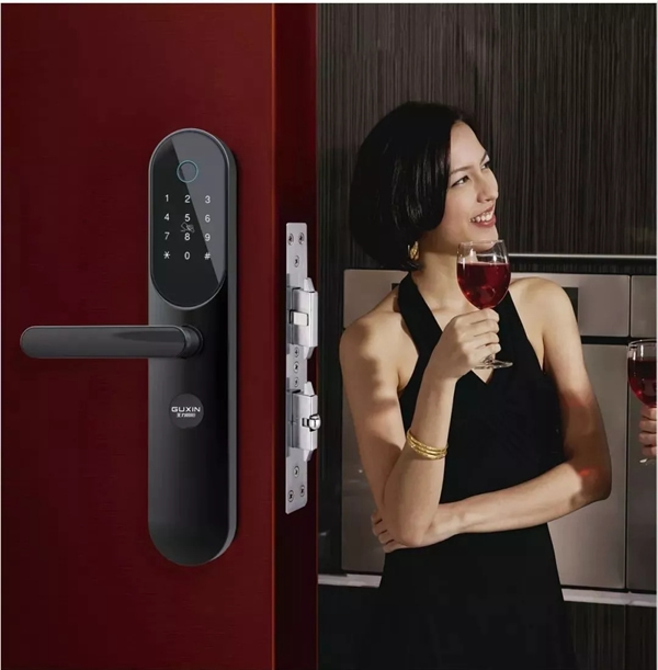 王力智能鎖便捷又安全 為您解決顧慮 王力智能鎖便捷又安全 為您解決顧慮