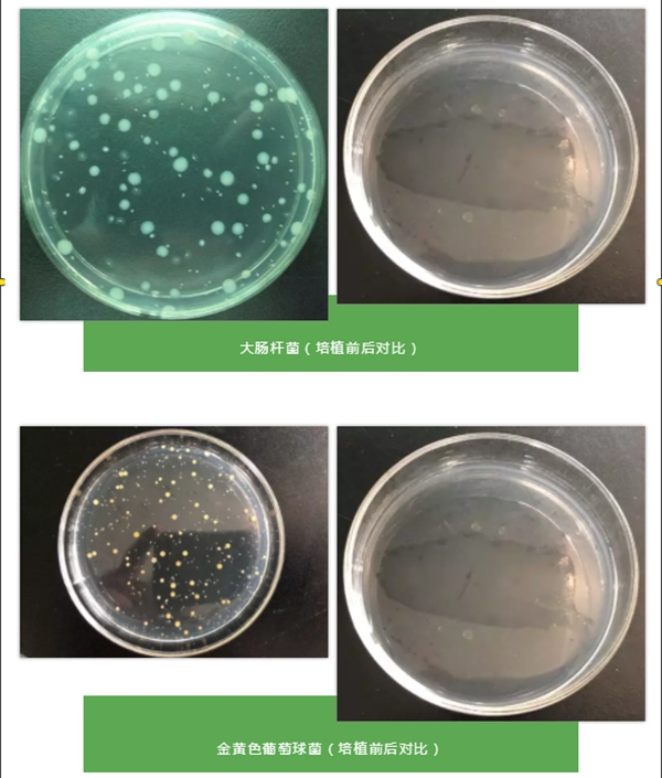 雅潔抗菌智能鎖進行跨界合作 共建抗菌實驗室