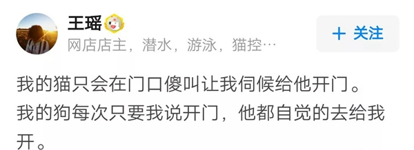 VOC智能鎖告訴你 家里寵物偷偷開門要怎么辦