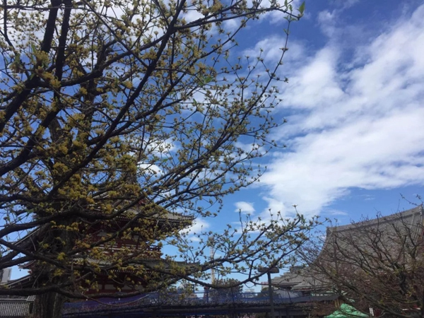 美菱公司2018年度先進個人日本之旅圓滿結束