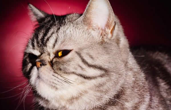 人家已經(jīng)用了一年多的指紋鎖了，而你還在質(zhì)疑它？