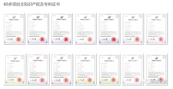 楊格鎖業(yè)憑什么在中國智能門鎖中脫穎而出，征服歐洲？