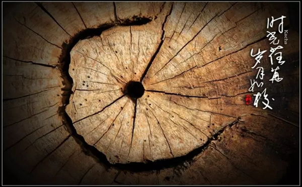 亞太天能智能鎖為你守護家庭的港灣