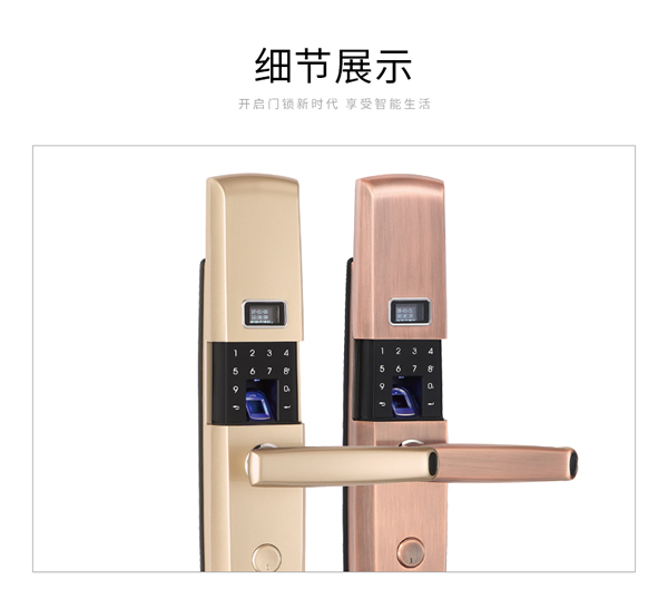 智能防盜門指紋鎖|專業專注的智能指紋密碼鎖制造商廠家哪家好？