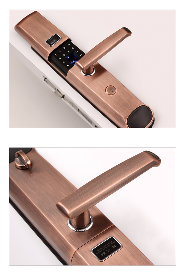 智能防盜門指紋鎖|專業專注的智能指紋密碼鎖制造商廠家哪家好？