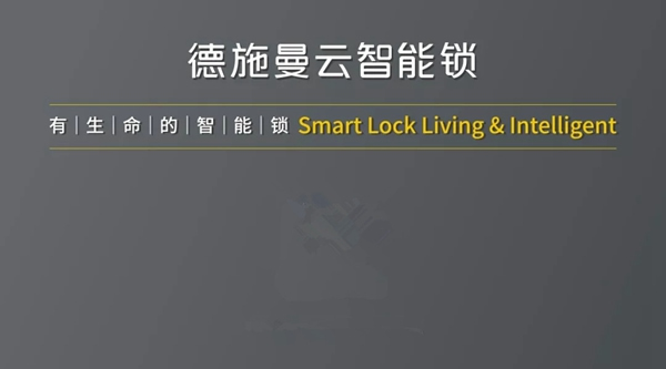 德施曼小嘀云智能鎖與權威專家一起規范門鎖行業安全標準
