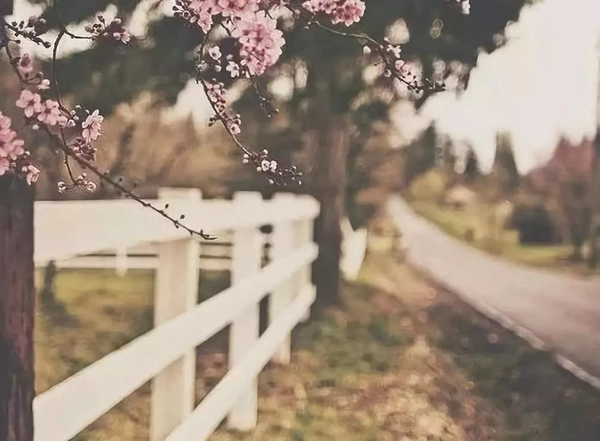 豪力士智能指紋鎖向你分享幾個有趣的心理學現象