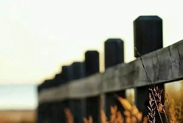 豪力士智能指紋鎖向你分享幾個有趣的心理學現象