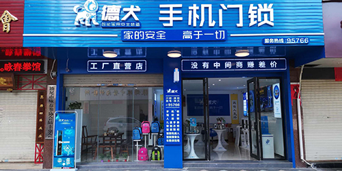 德犬體驗店成功案例：年輕人創業選擇比努力更重要！