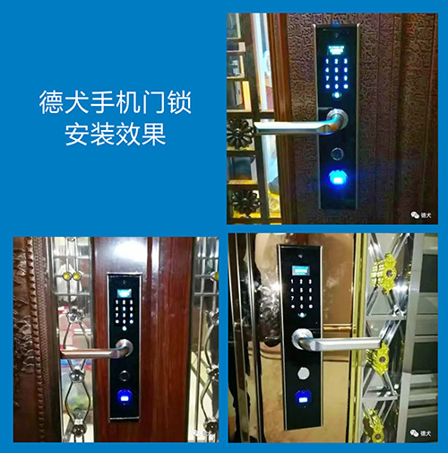 2017市場智能門鎖十大品牌之德犬手機門鎖