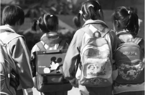 有責任的德犬安全健康書包，是一種什么體驗