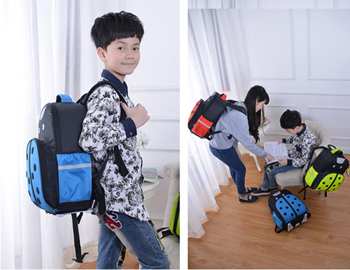 德犬安全健康書包，護脊減負背后的驚人內幕