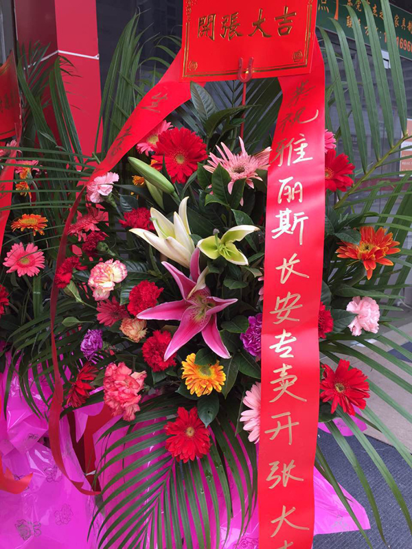 【再添新店】雅麗斯五金門鎖東莞專賣店盛大開業(yè)