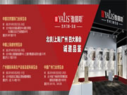 雅麗斯藝術(shù)門鎖誠邀您來臨品鑒