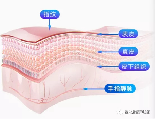 璽爾盾指靜脈鎖告訴您給老年人購買智能鎖需要注意什么 璽爾盾指靜脈鎖告訴您給老年人購買智能鎖需要注意什么