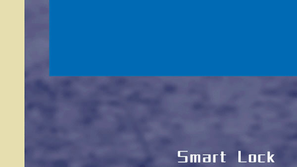 2021牛轉乾坤，從一把西勒奇智能鎖開始