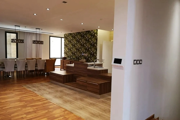 河東科技帶您看看中東富豪的房子都長什么樣