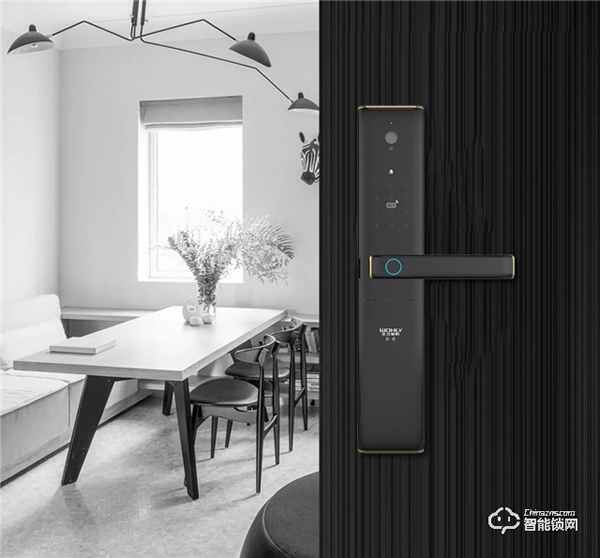 今年年貨買什么？孝順父母就選王力遙感智能鎖