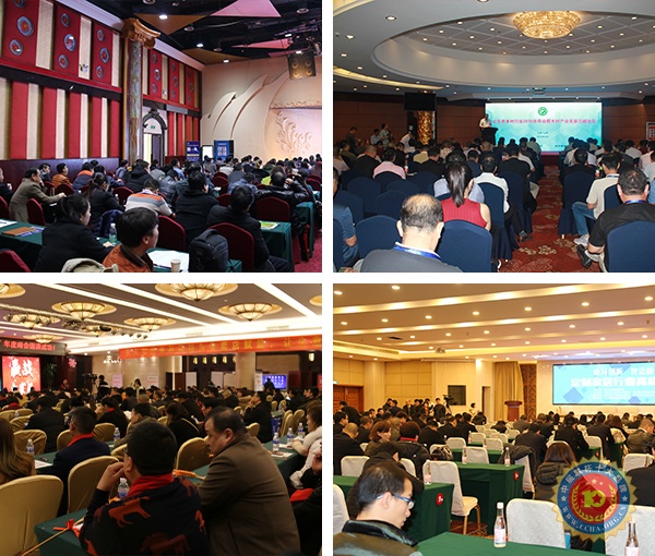 中居聯杯家居十大品牌