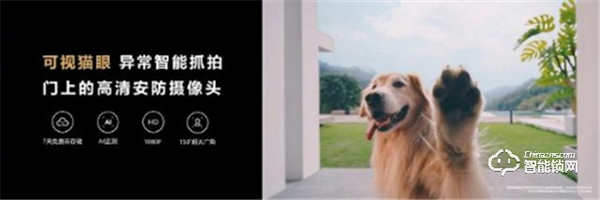 華為智能門鎖Pro與飛利浦智能鎖Alpha-VP,哪個更適合入手? 華為智能門鎖Pro與飛利浦智能鎖Alpha-VP,哪個更適合入手?