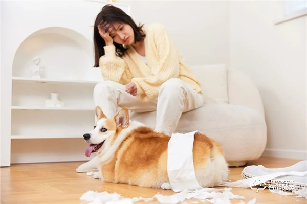 亞太天能‖“年輕”有花young，智能門如何煥發(fā)新機(jī)遇？