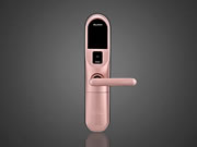 三大智能戰略布局，王力安防智能門鎖撬動千億家居市場