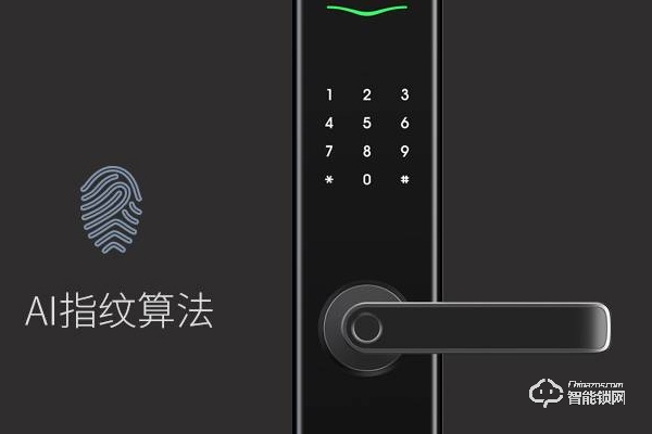 麗水德施曼智能鎖加盟