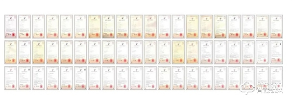 喜報丨王力安防榮獲2022年度公安部科學技術獎三等獎 為保衛(wèi)家國安全貢獻力量