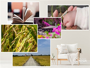 Gleewell格里維爾|你發現了嗎?所有治愈的美好,都藏在生活的細節里